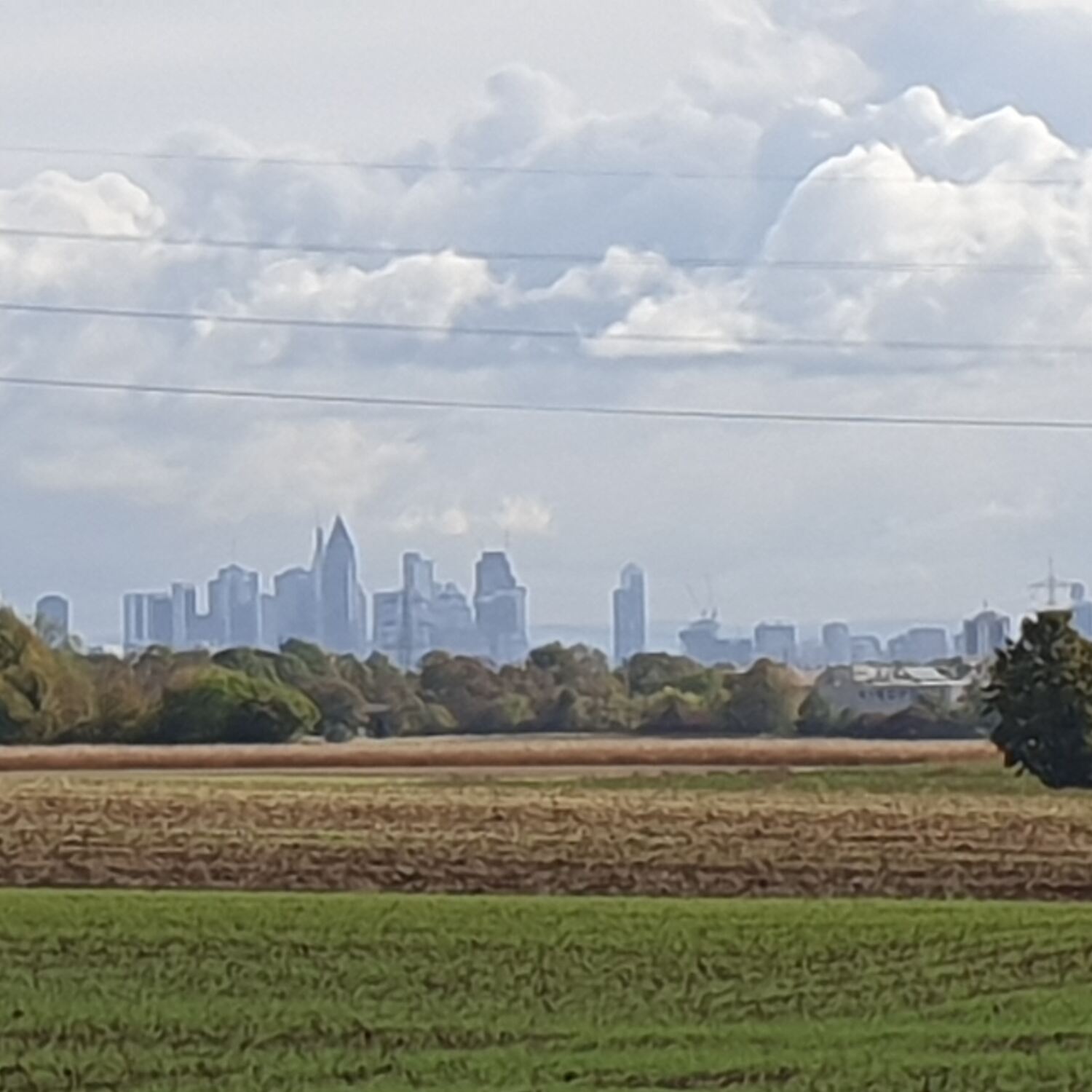 Megamarsch Frankfurt 2.0