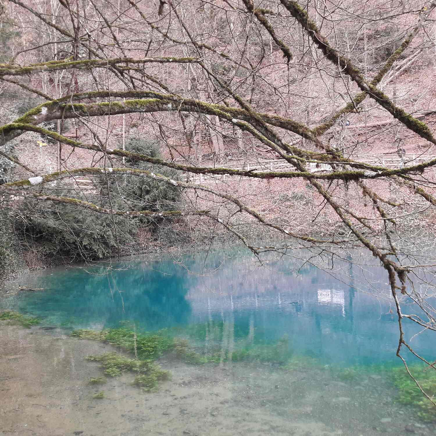 Blaubeuren