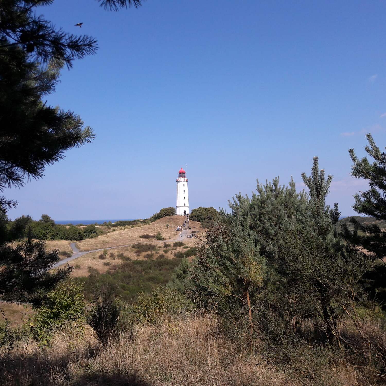Hiddensee