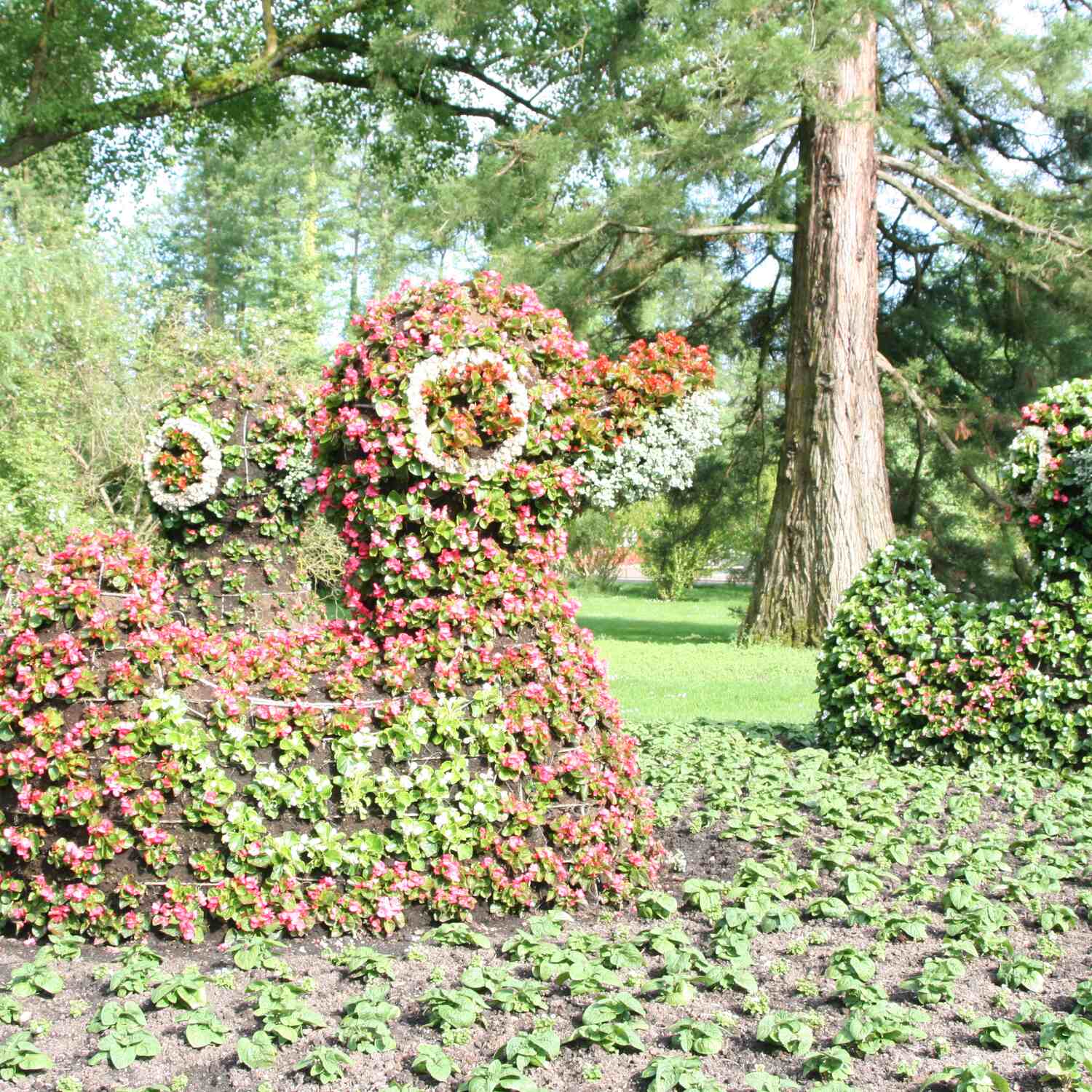 Insel Mainau