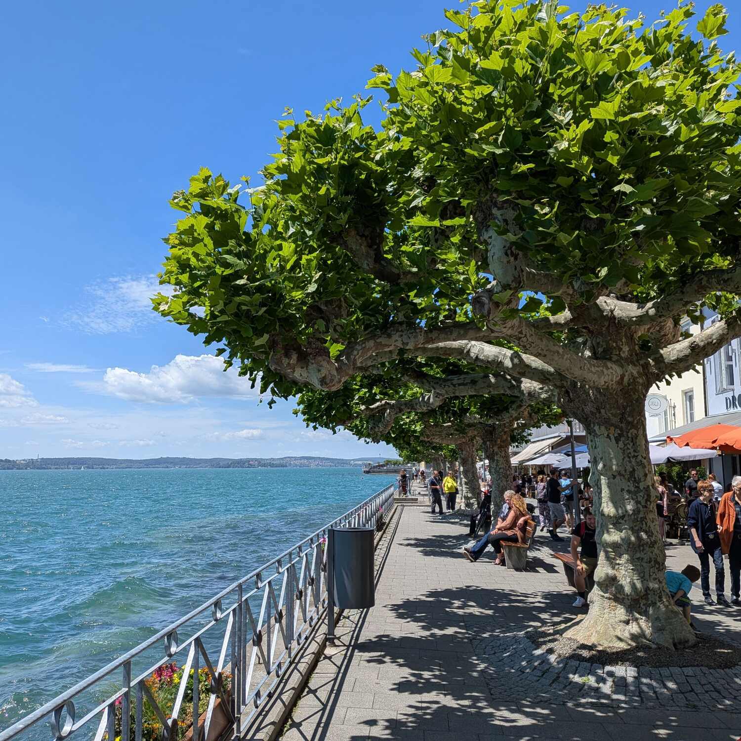 Meersburg