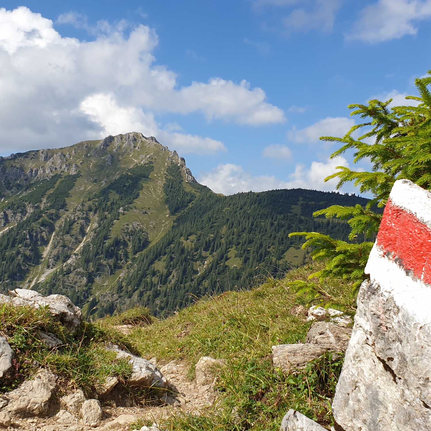 Wanderung Hinterstein