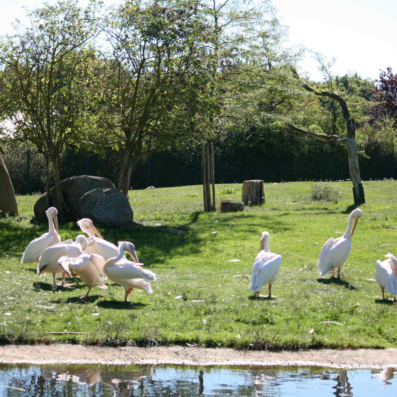 Vogelpark Marlow