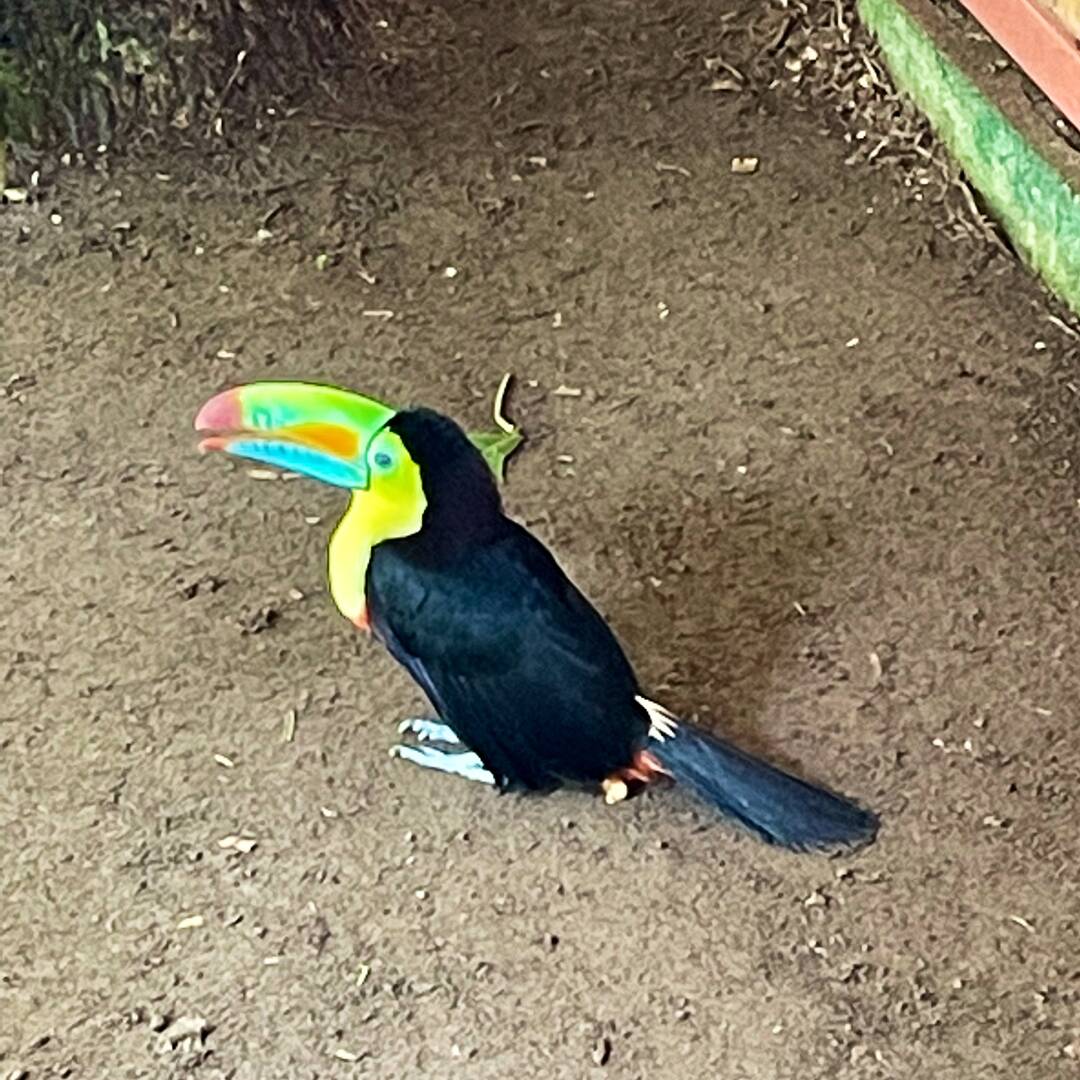 Costa Rica 2021