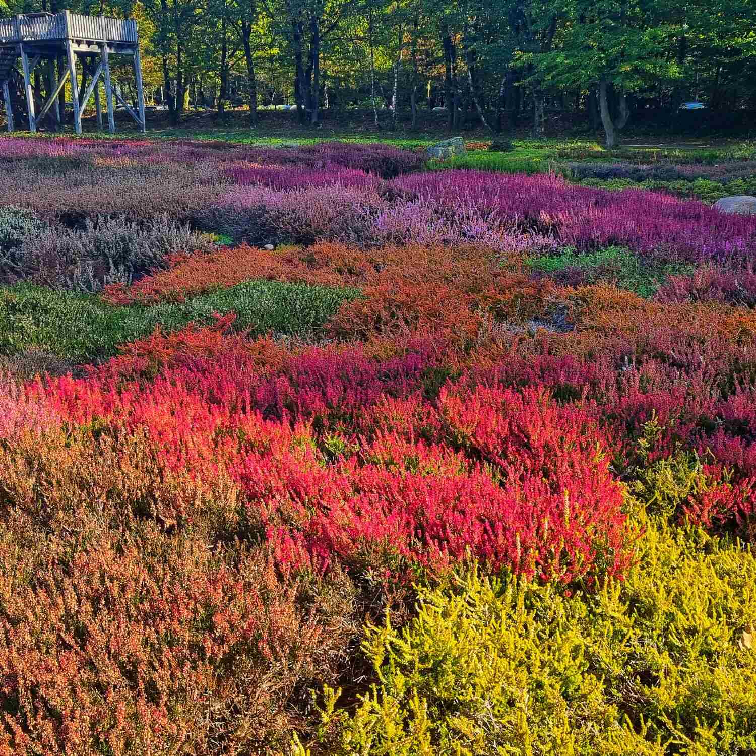 Herbstliches Norddeutschland
