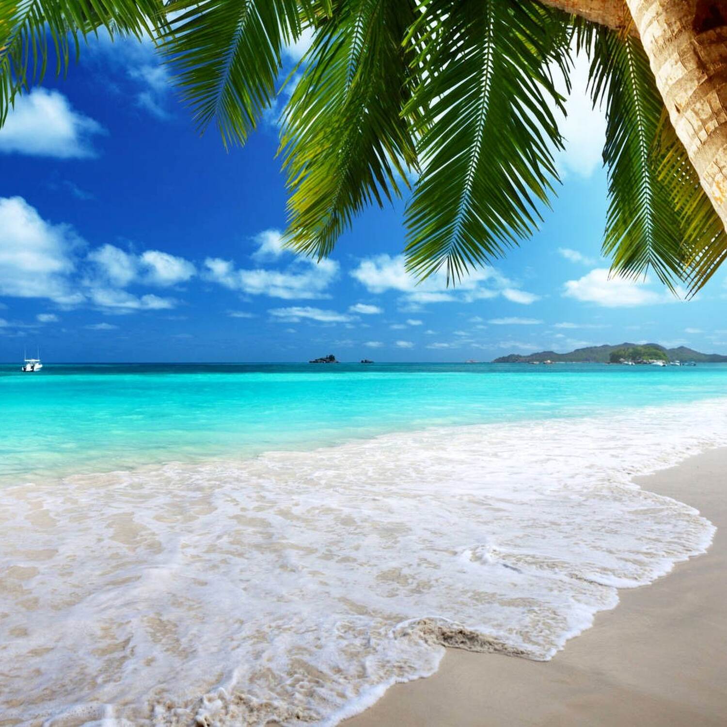 🌴 Karibik Abenteuer 🌊