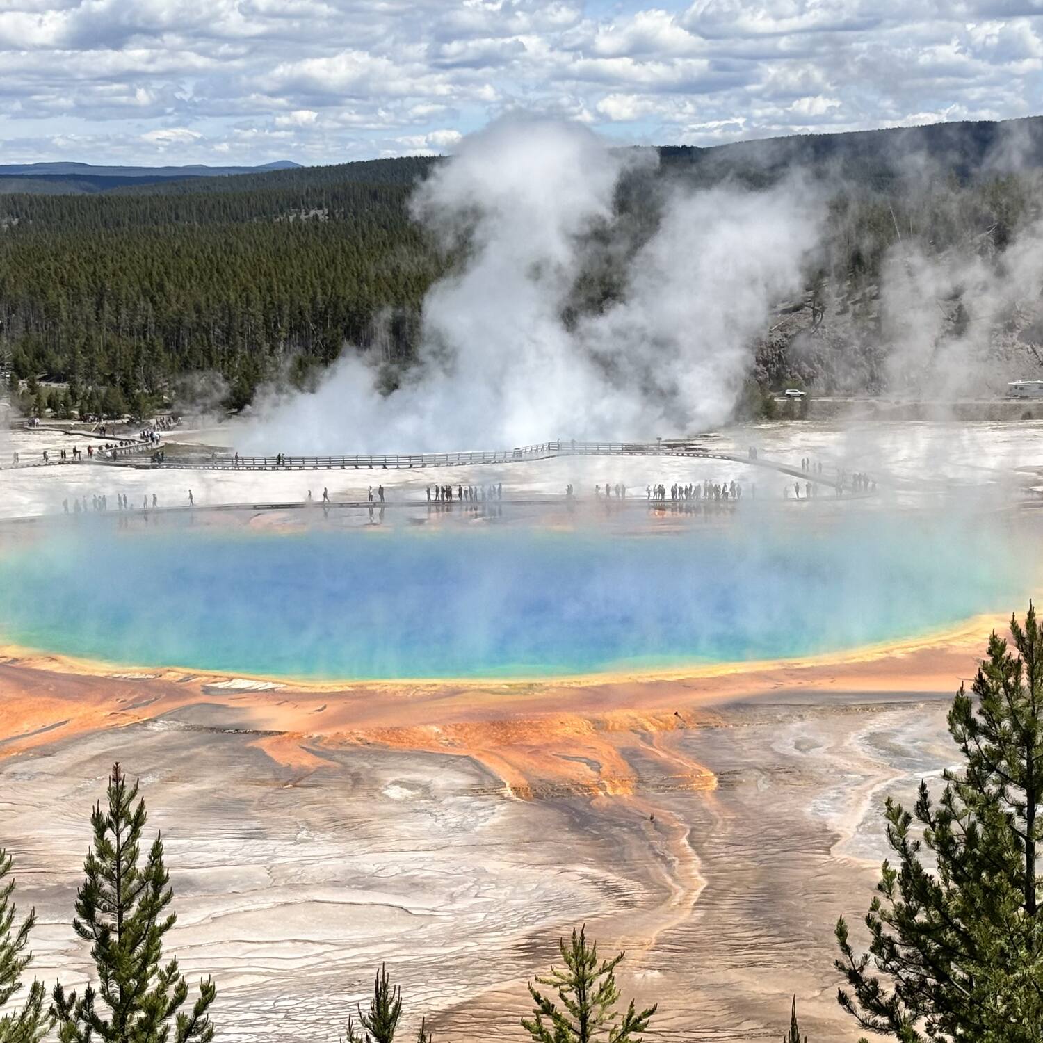 Yellowstone Revisited - Dale’s ’26 Family Reunion