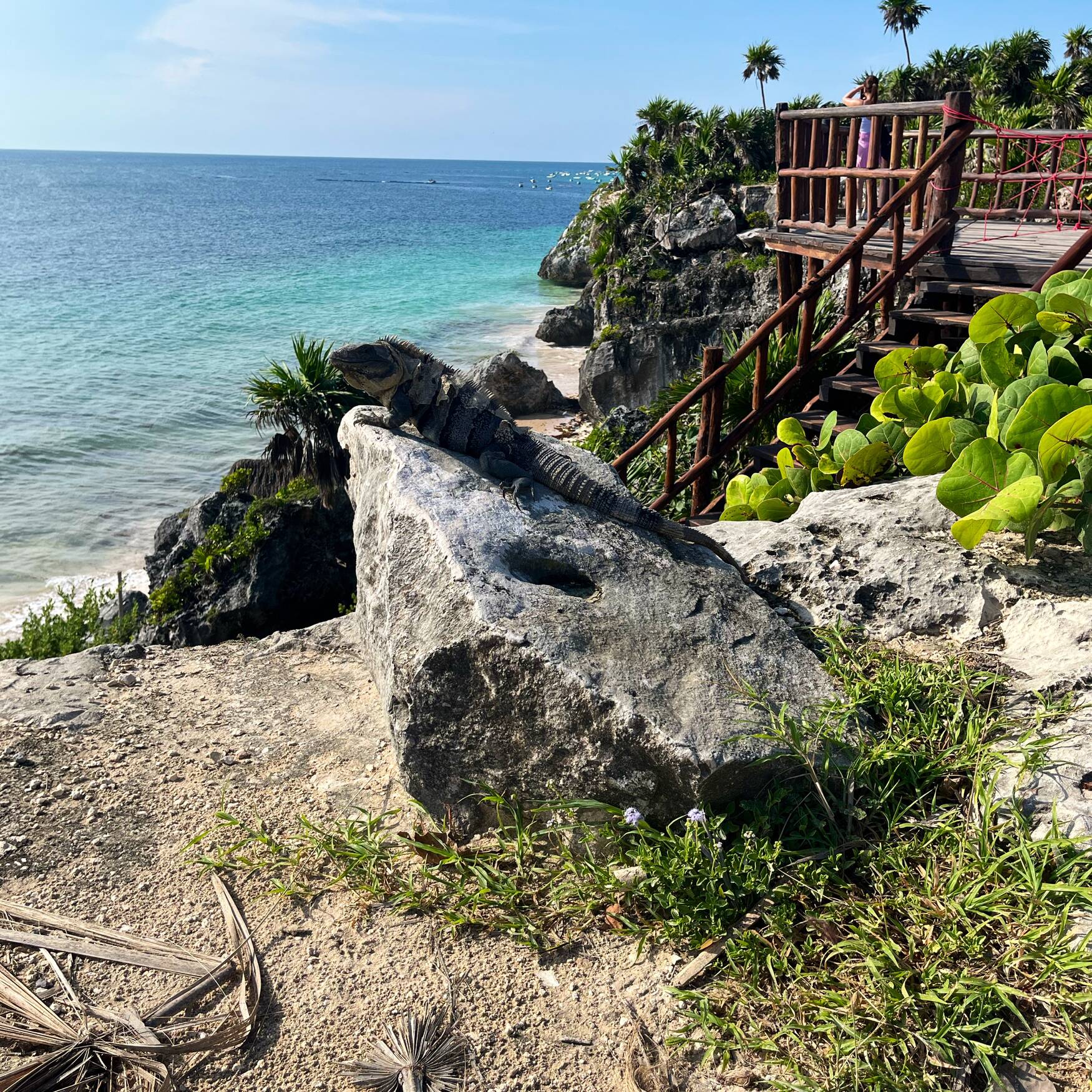 Mexico
