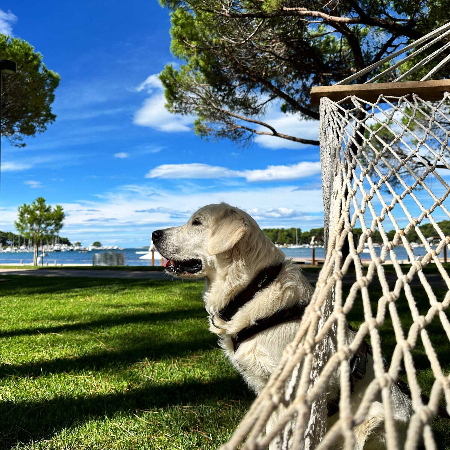 Entspannung in Kroatien