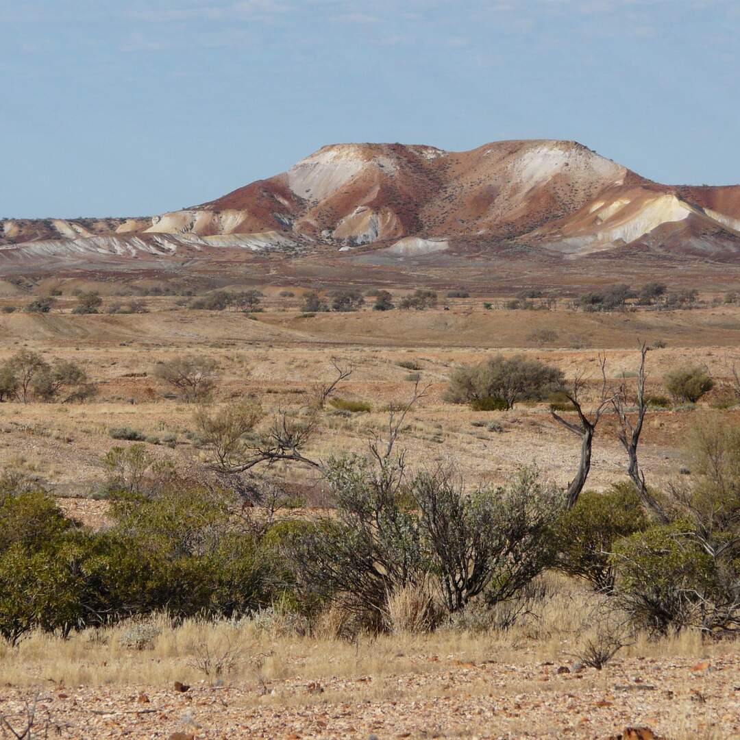 Top End 2021
