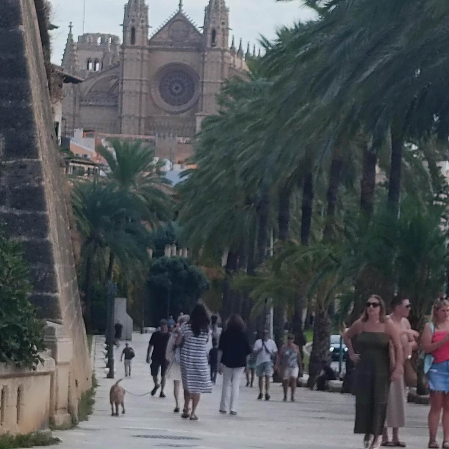 Mein Stipendium auf Mallorca