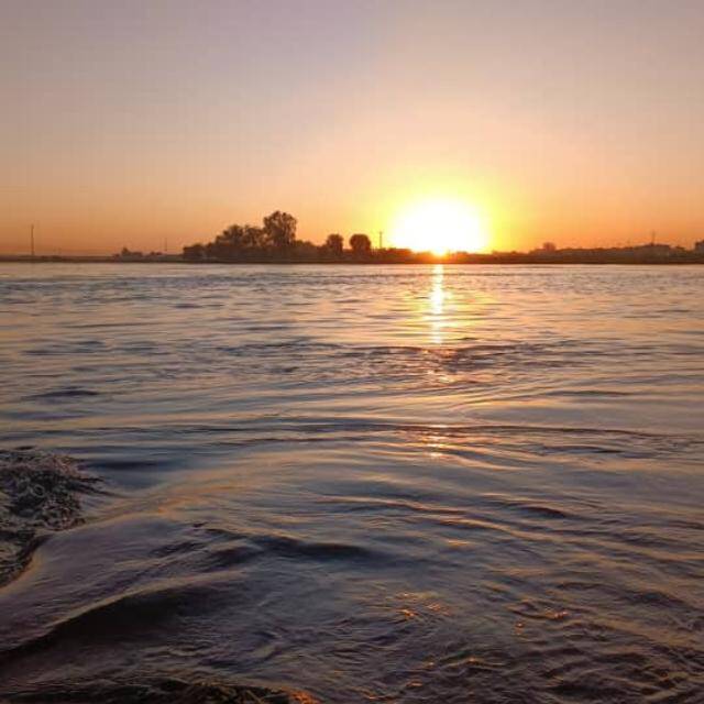 صدام صدام