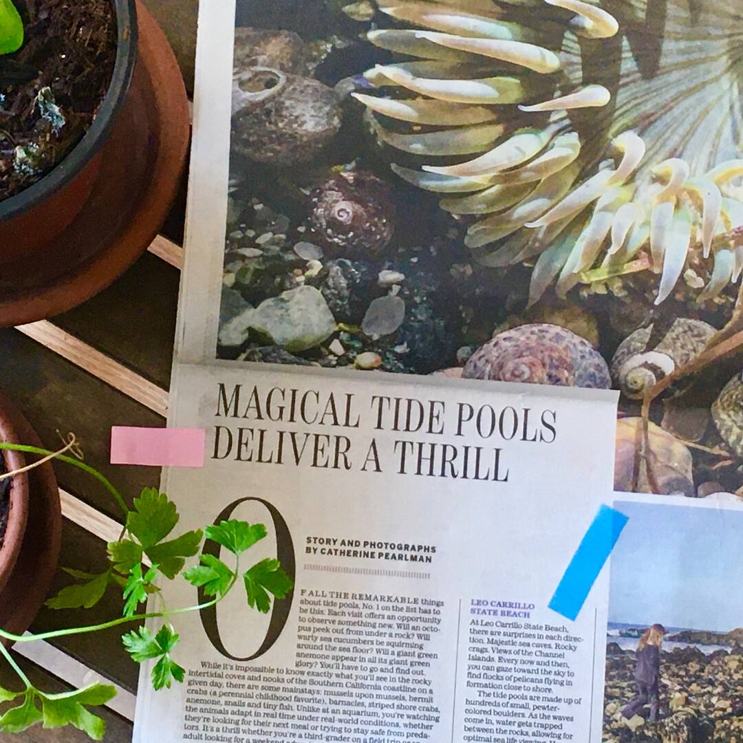 Leo Carrillo State Beach