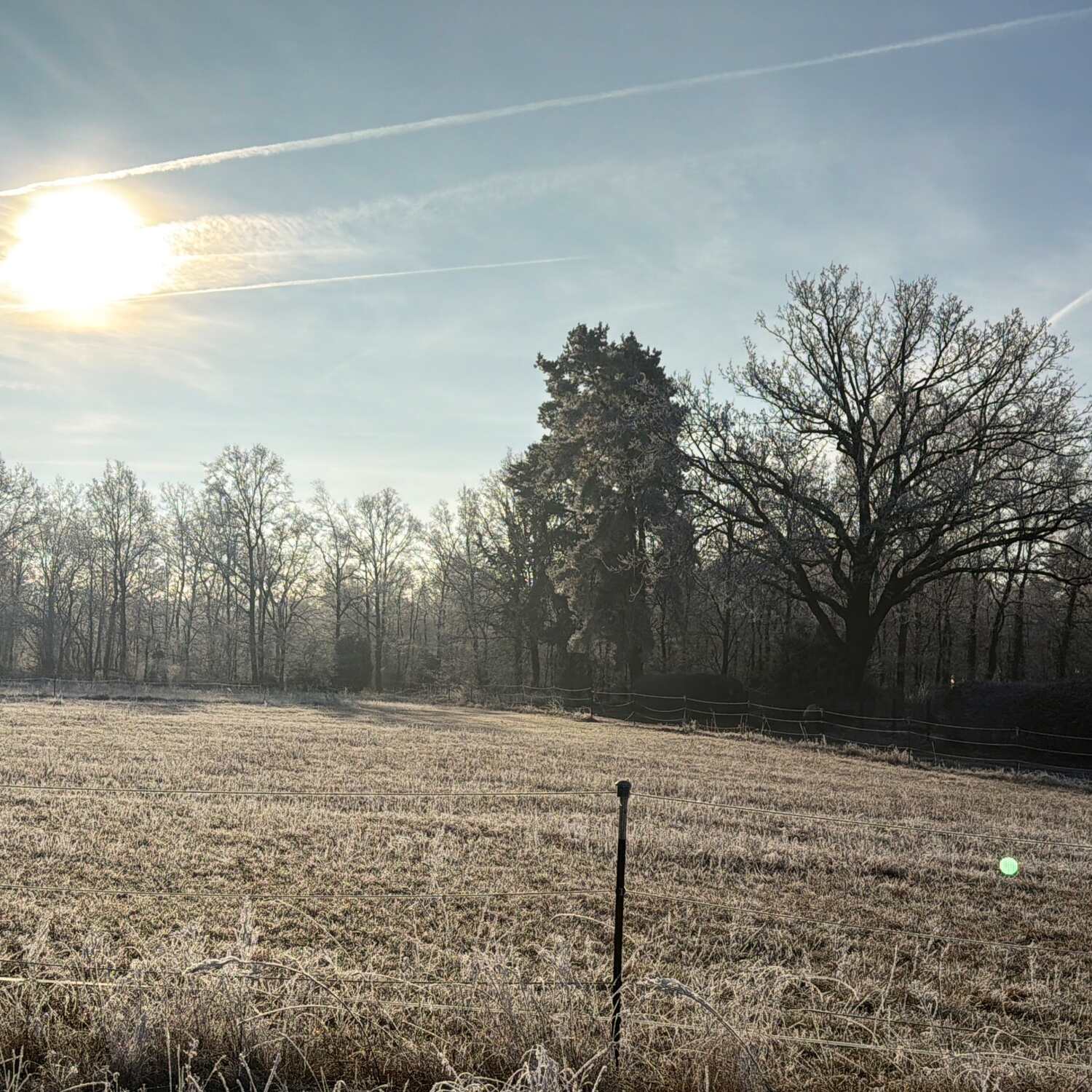 Austria 12/25 & 01/26