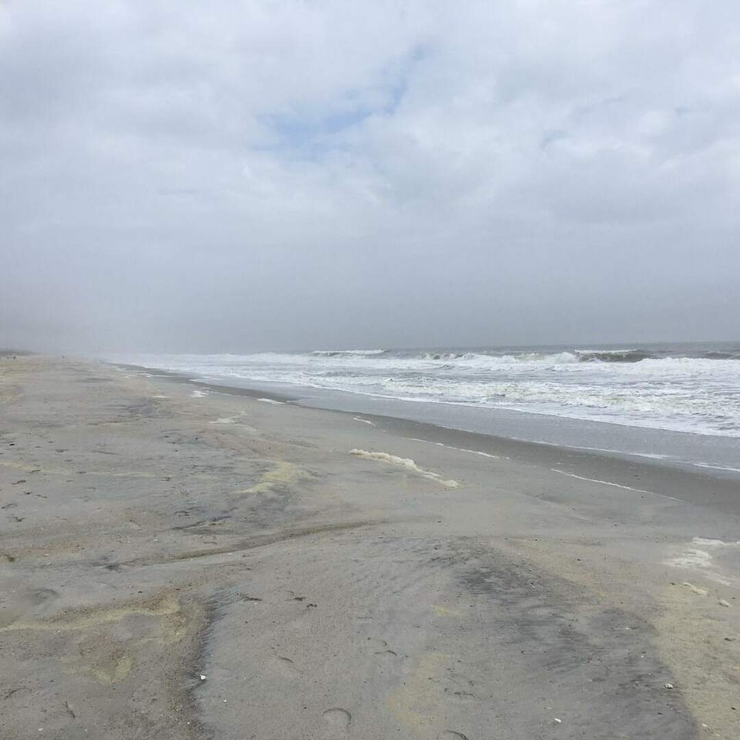 Florida 2019
