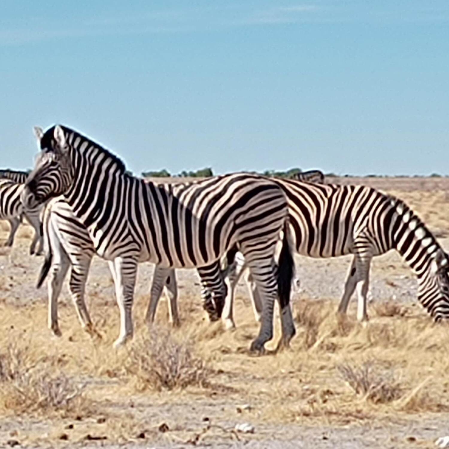 Etosha Village
