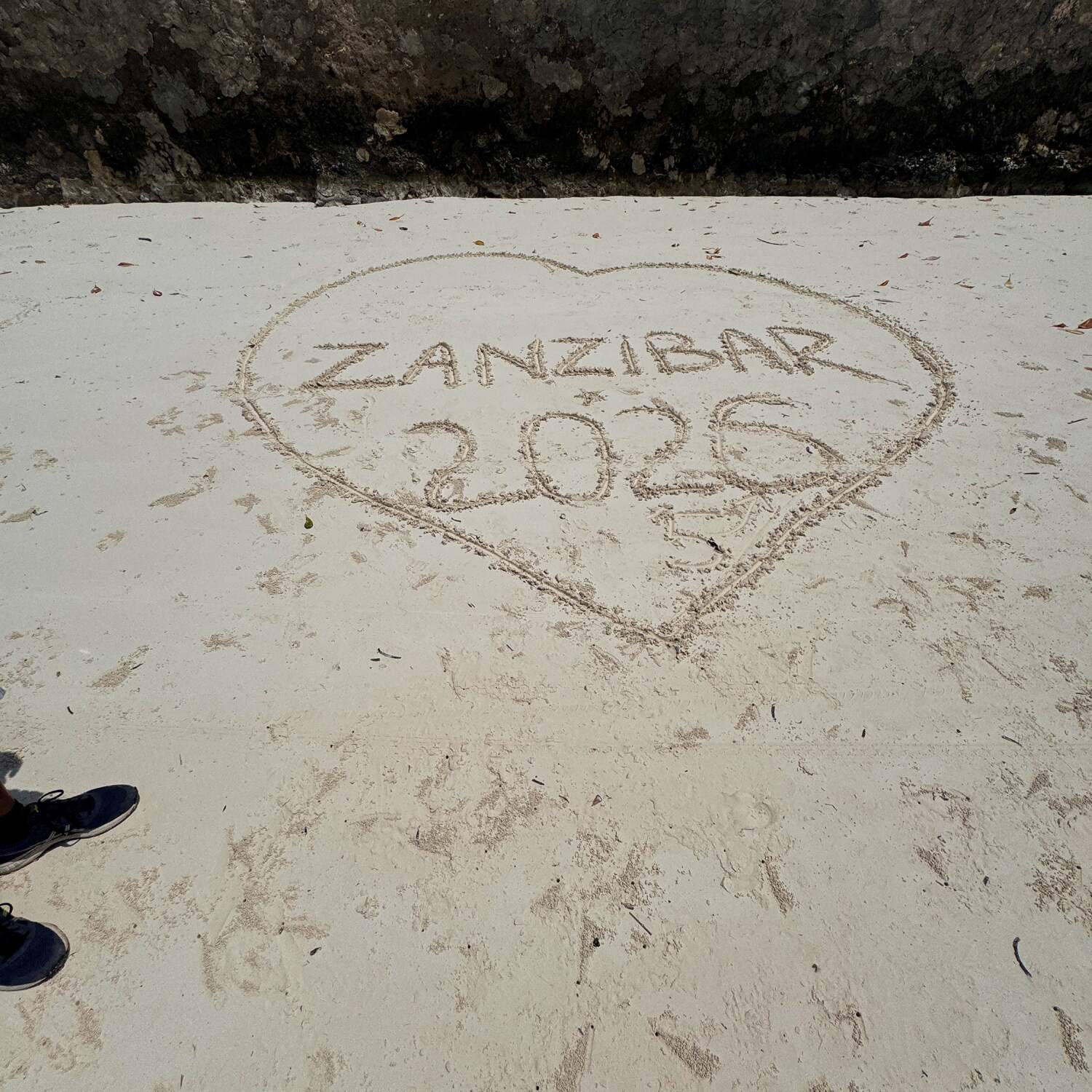 Sansibar 🔜 Germany