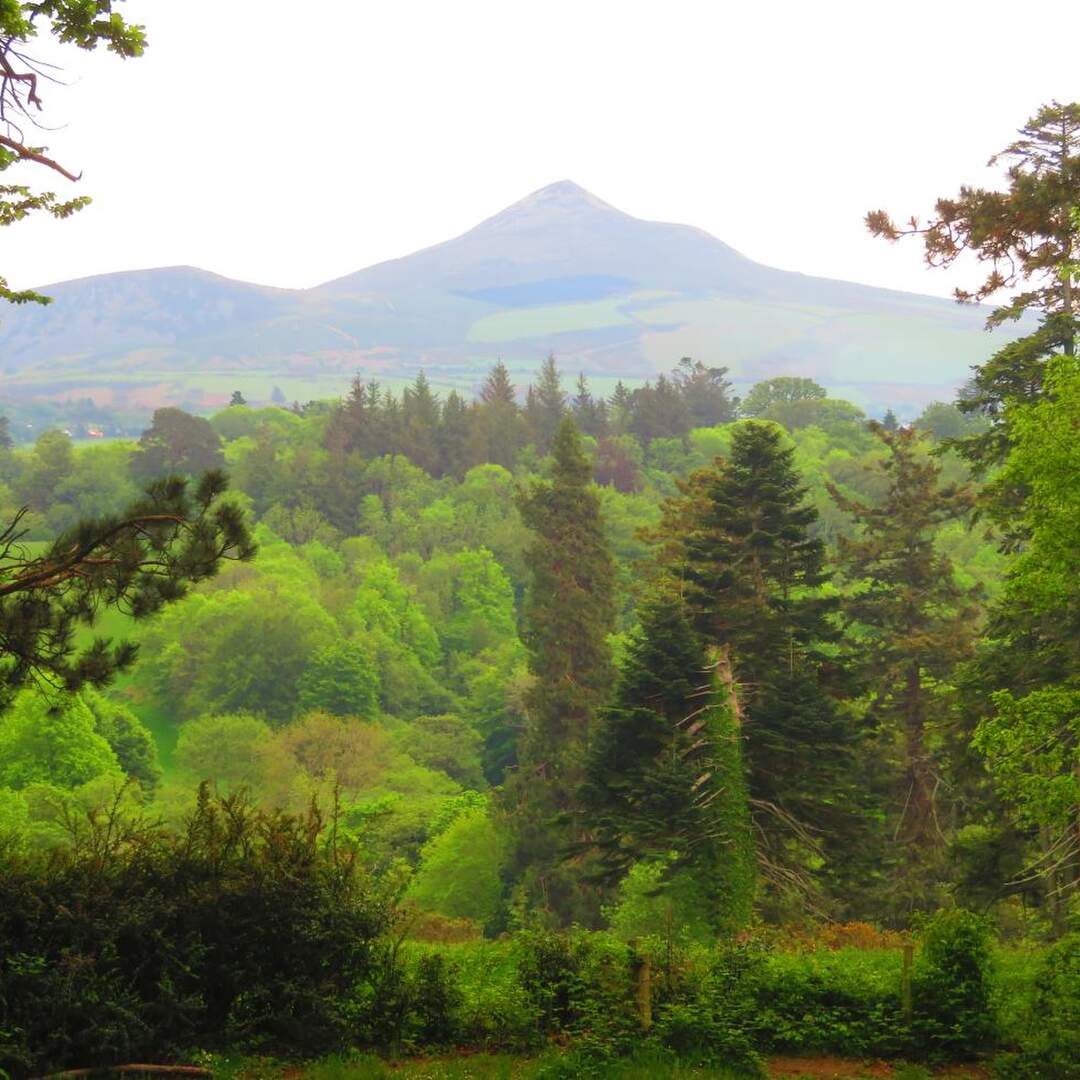 50 Shades of Green