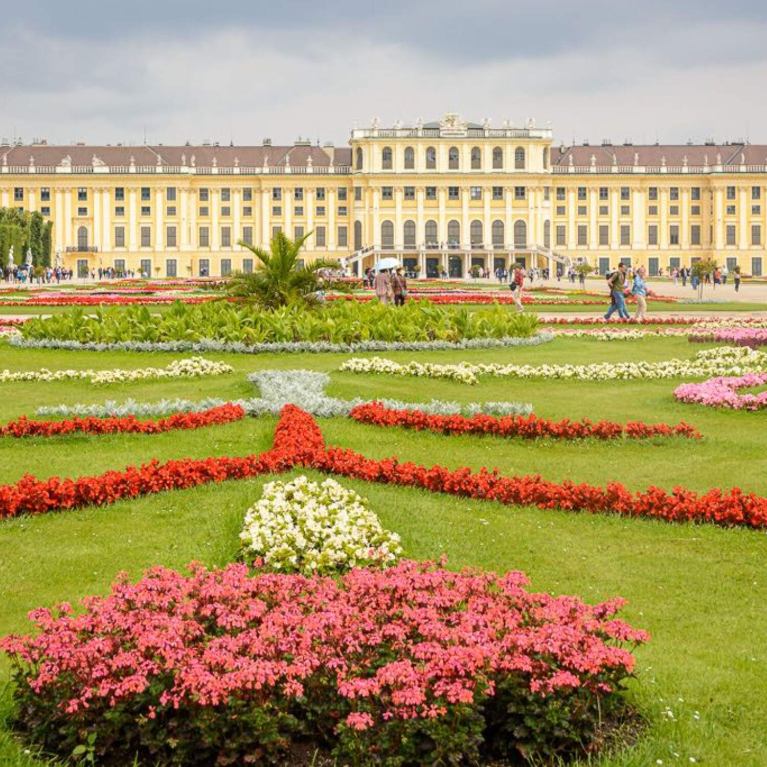 Wieder einmal in Wien