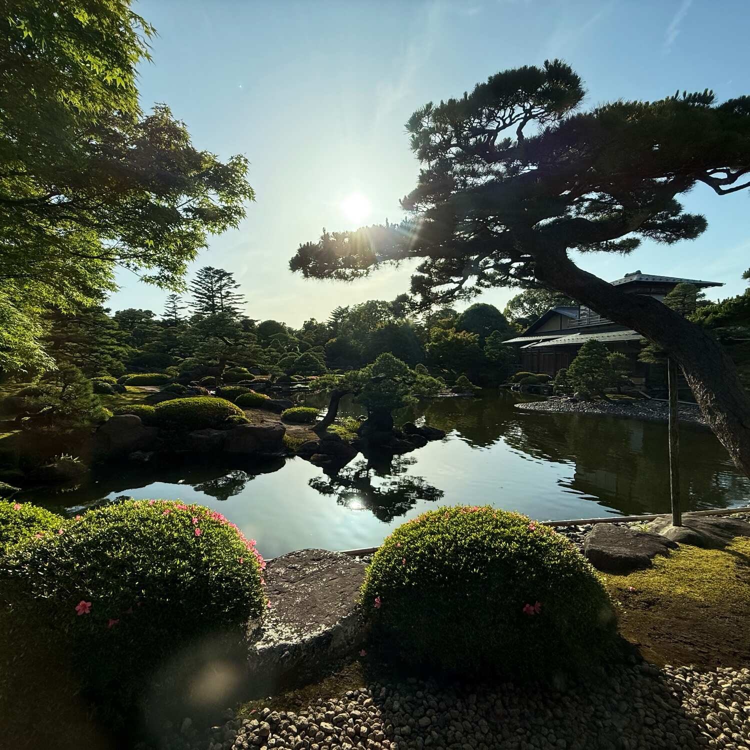 Japan to Australia