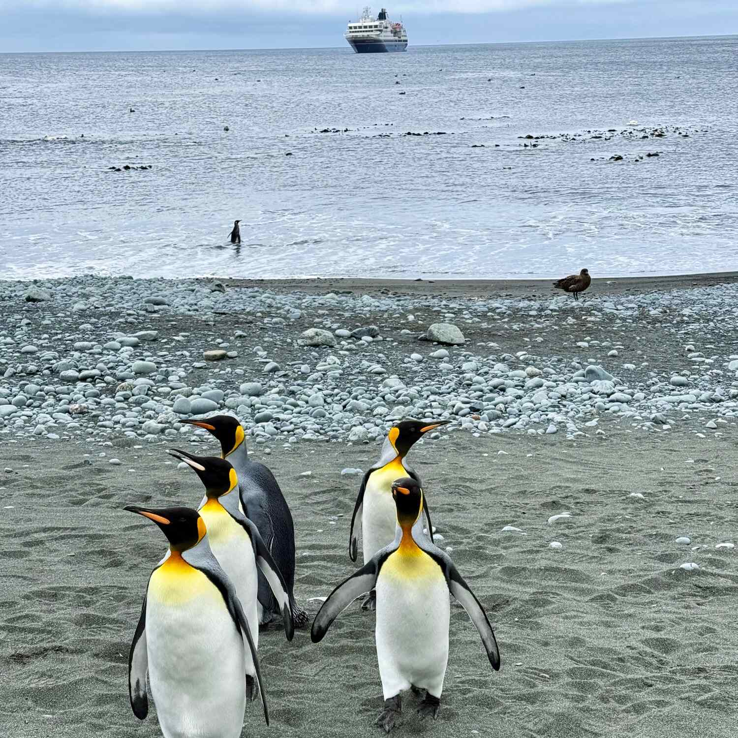 Antarctica 2026