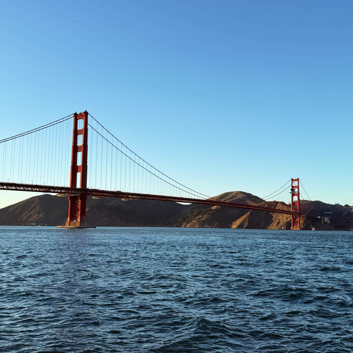 USA | California