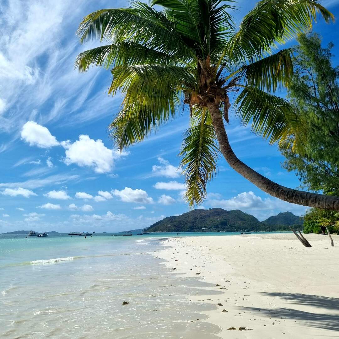 Inselhopping Seychellen