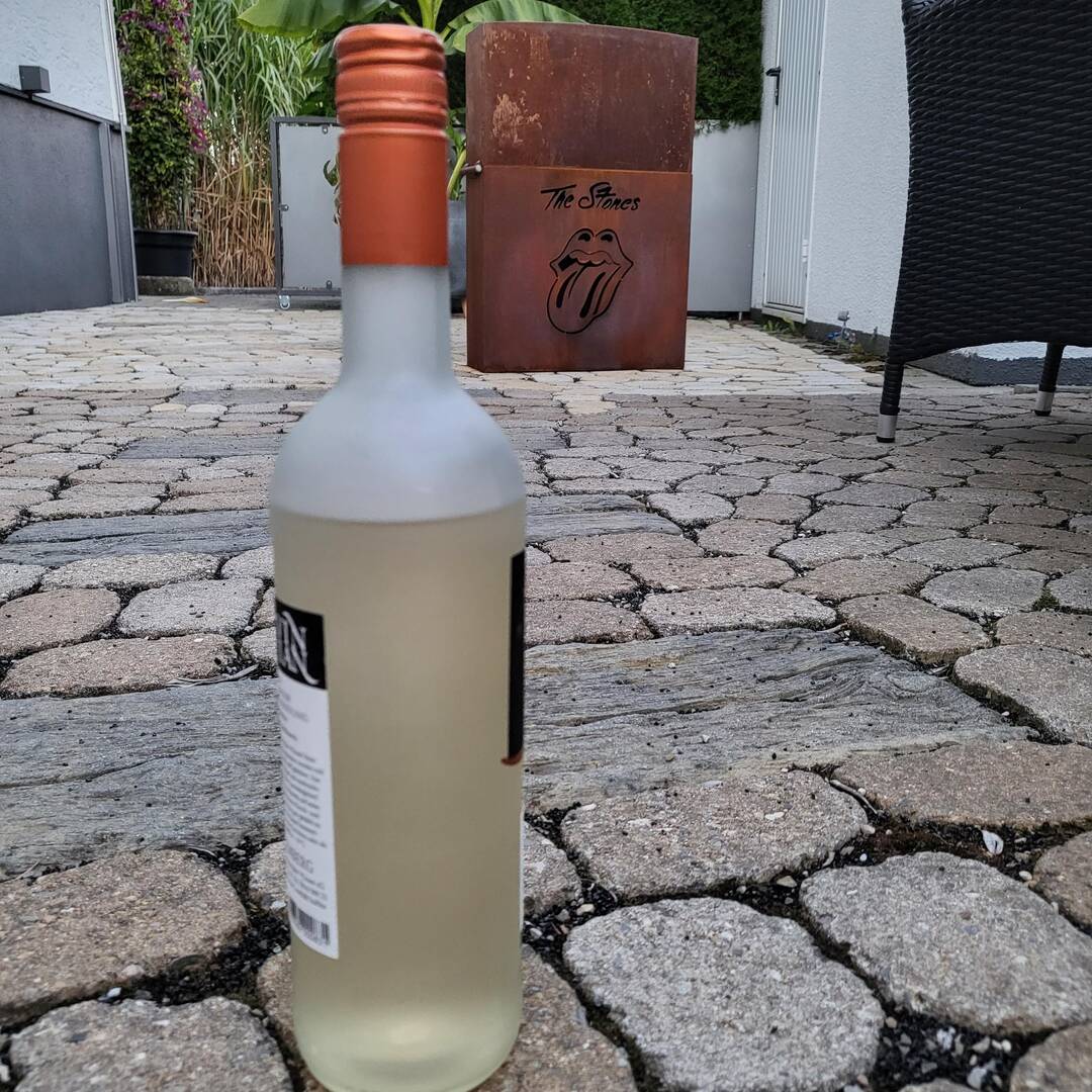 Weinlese Ungarn