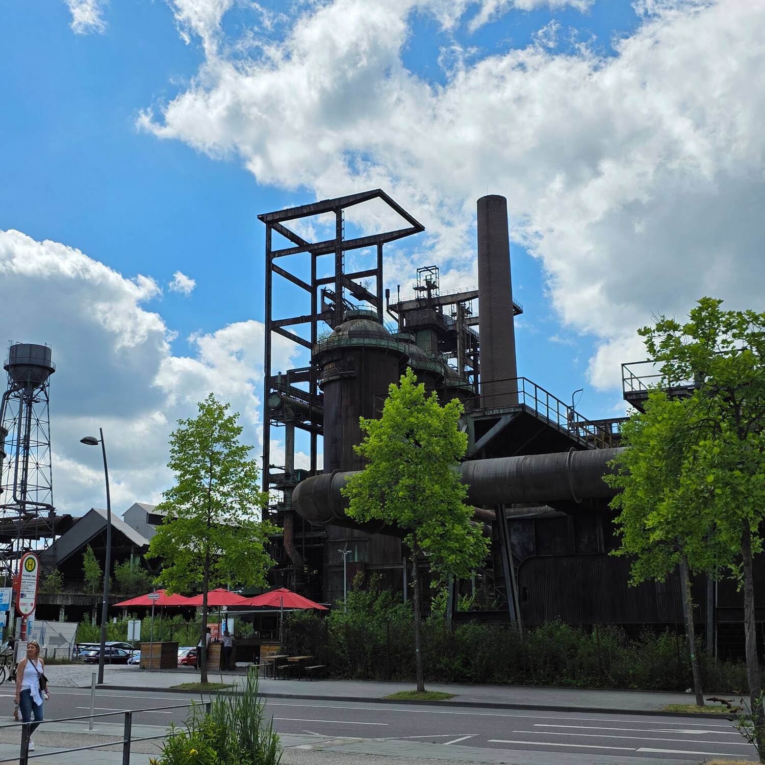 Zurück zu den Wurzeln