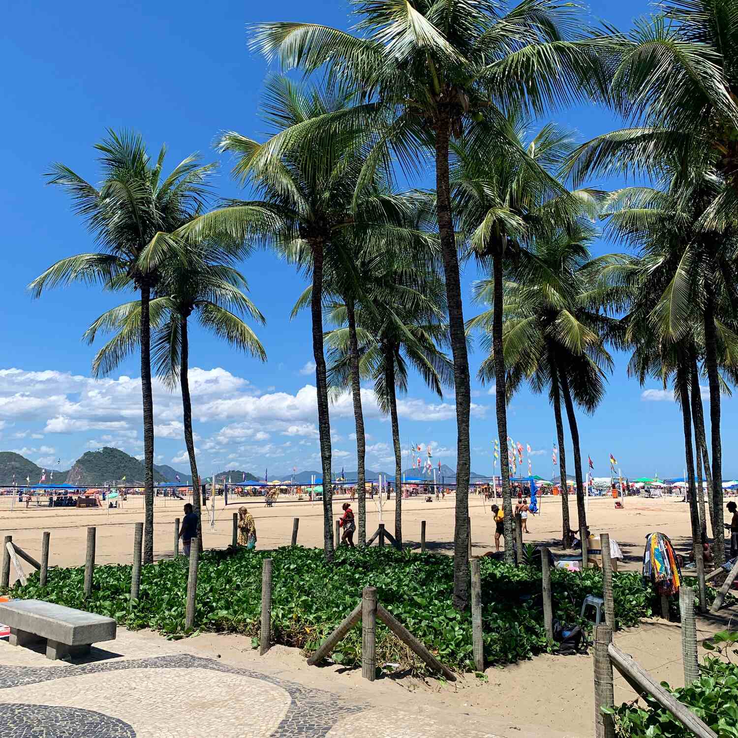 Brésil 🇧🇷