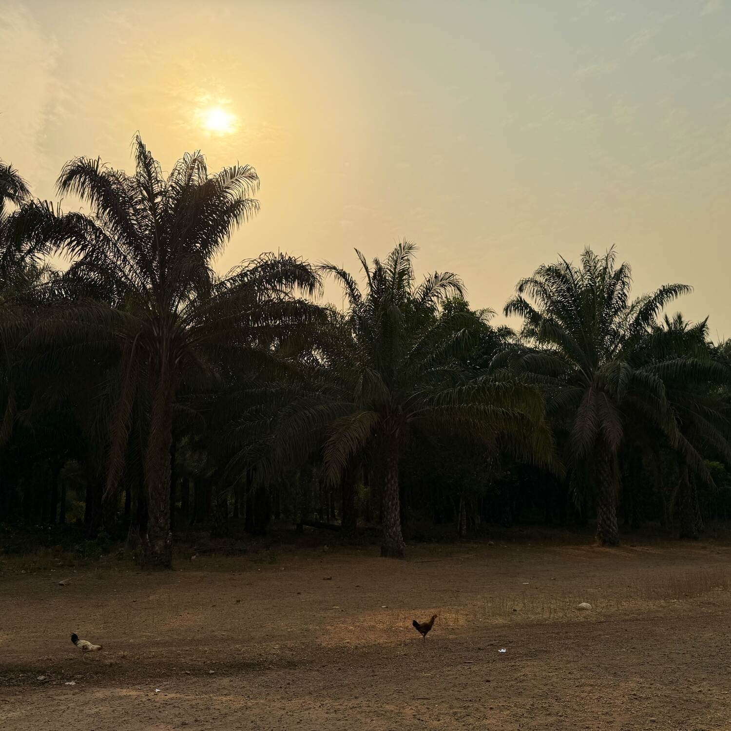 Sierra Leone 2025