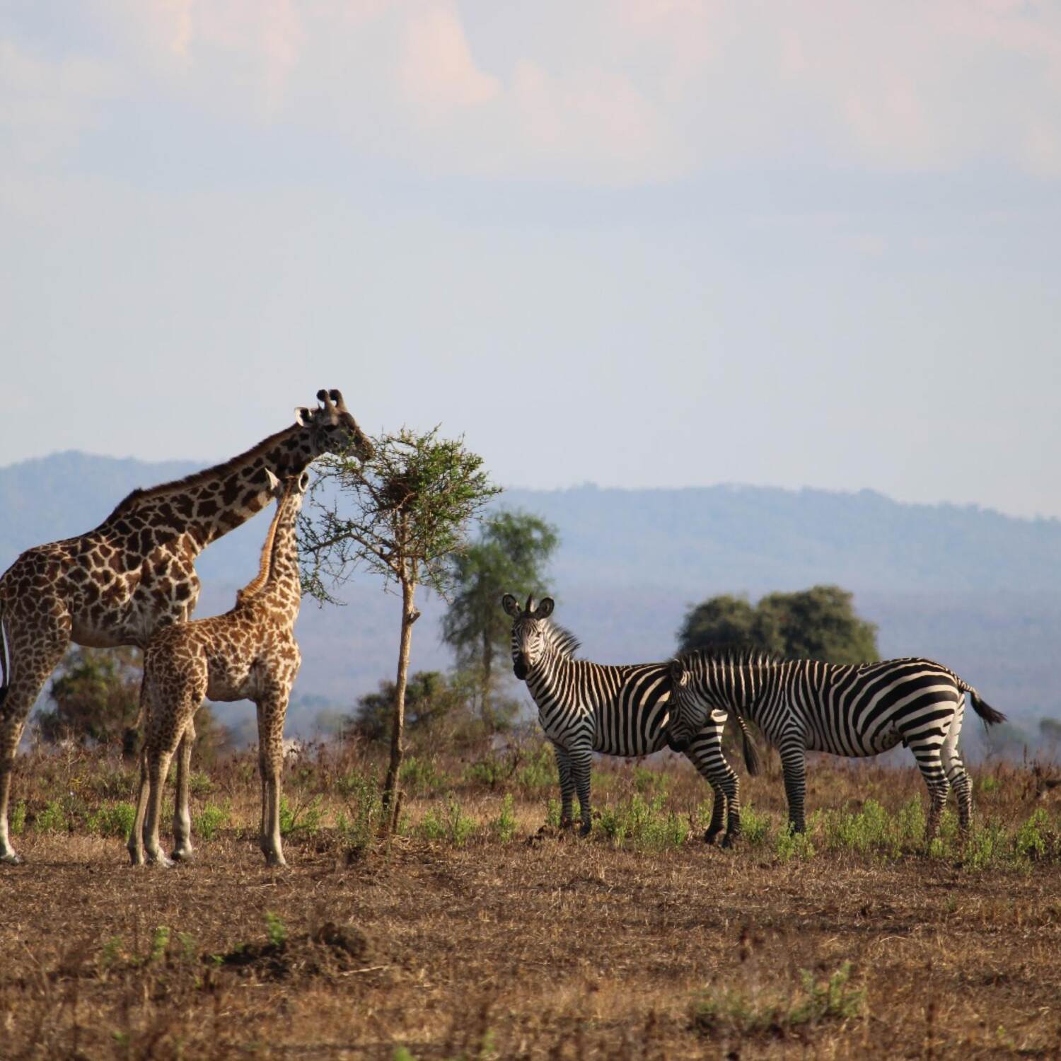 Africa-Vic Falls to Zanzibar