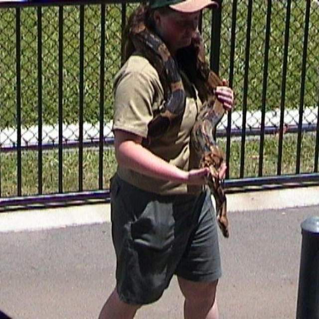 Queensland 2003