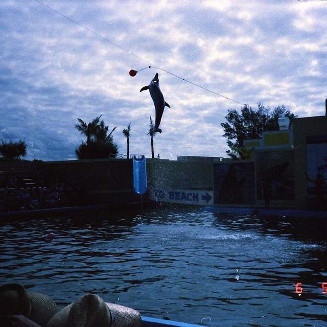 USA 1992
