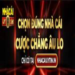 Huong dan ca cuoc