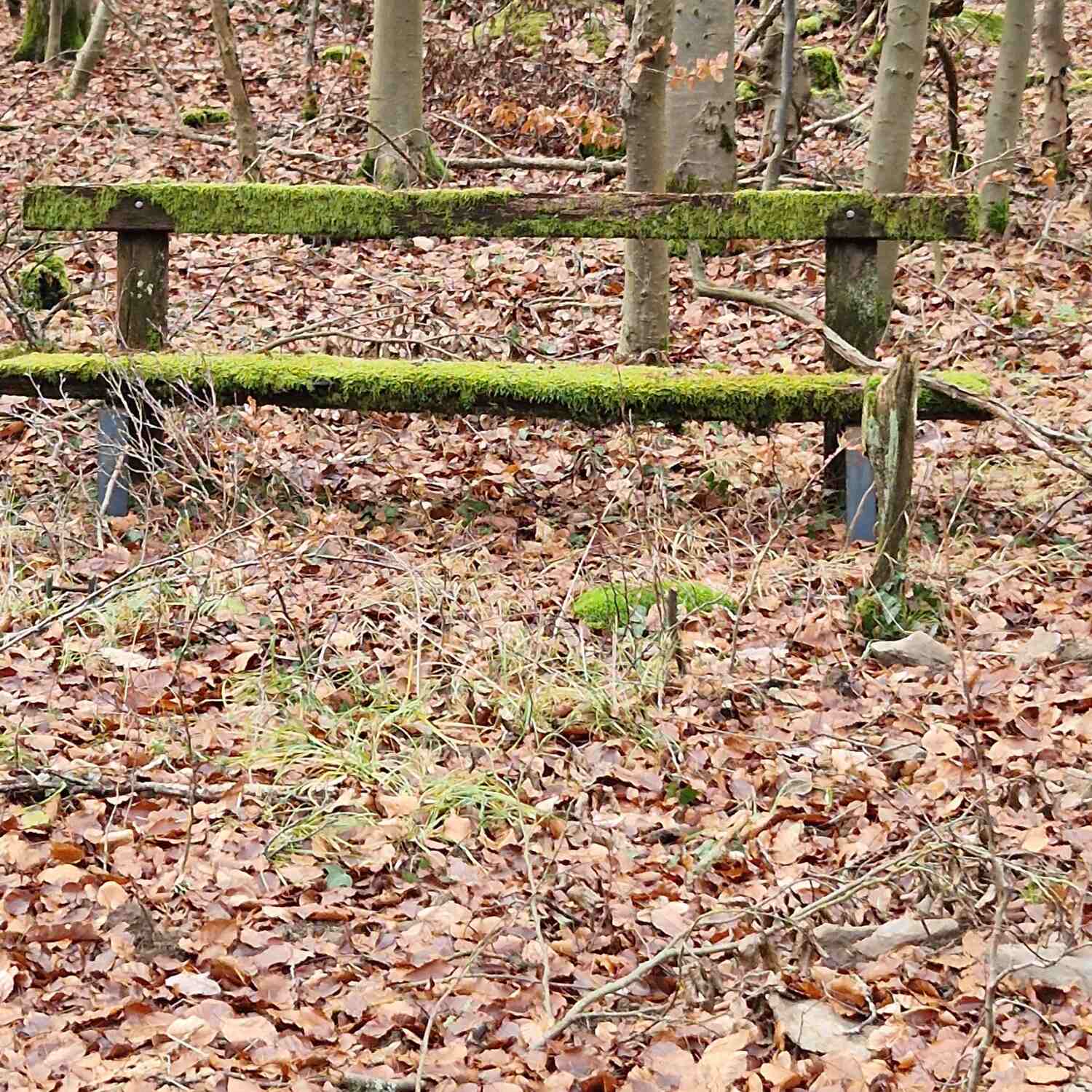 Test mit Einstellungen