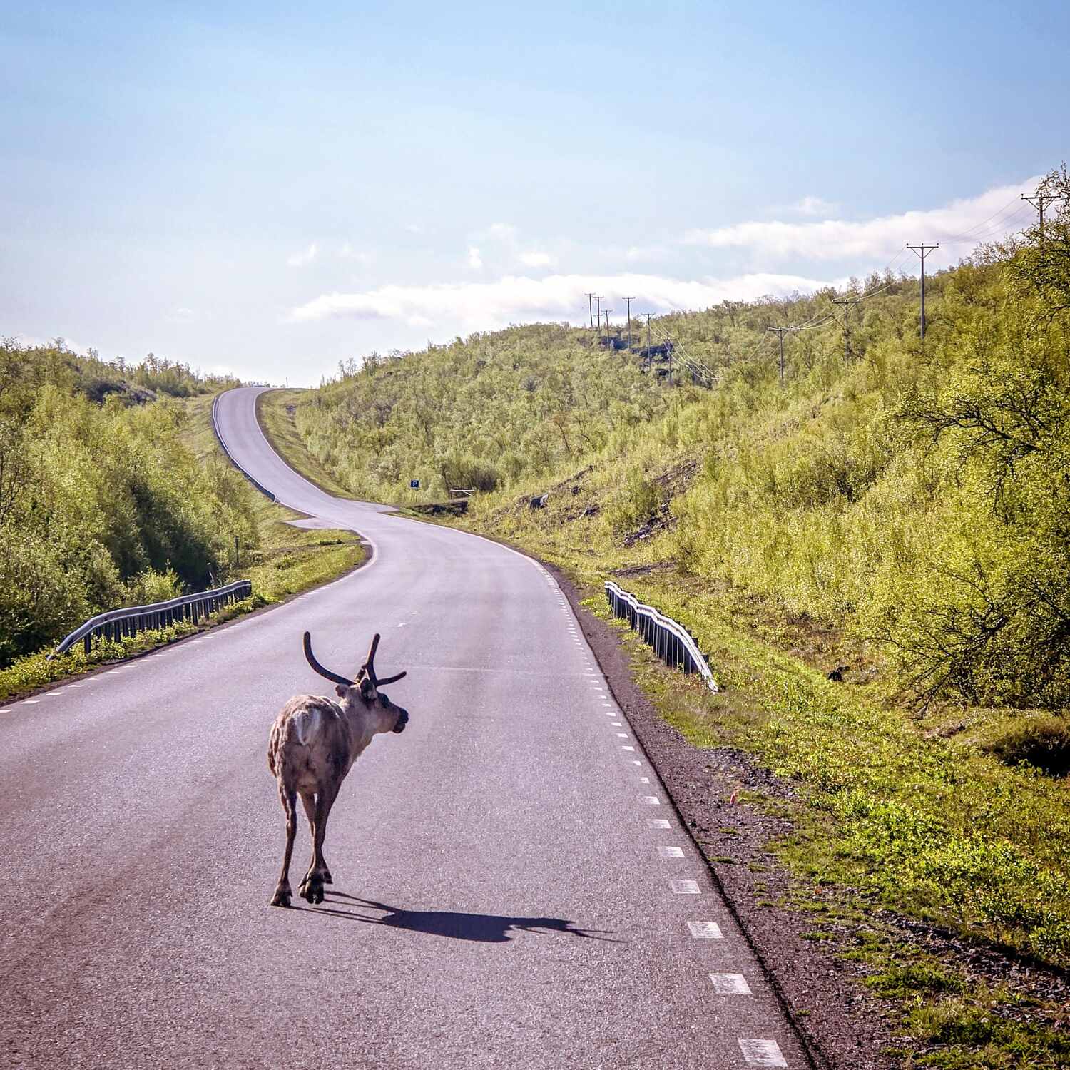 Schweden, Schwedisch Lappland