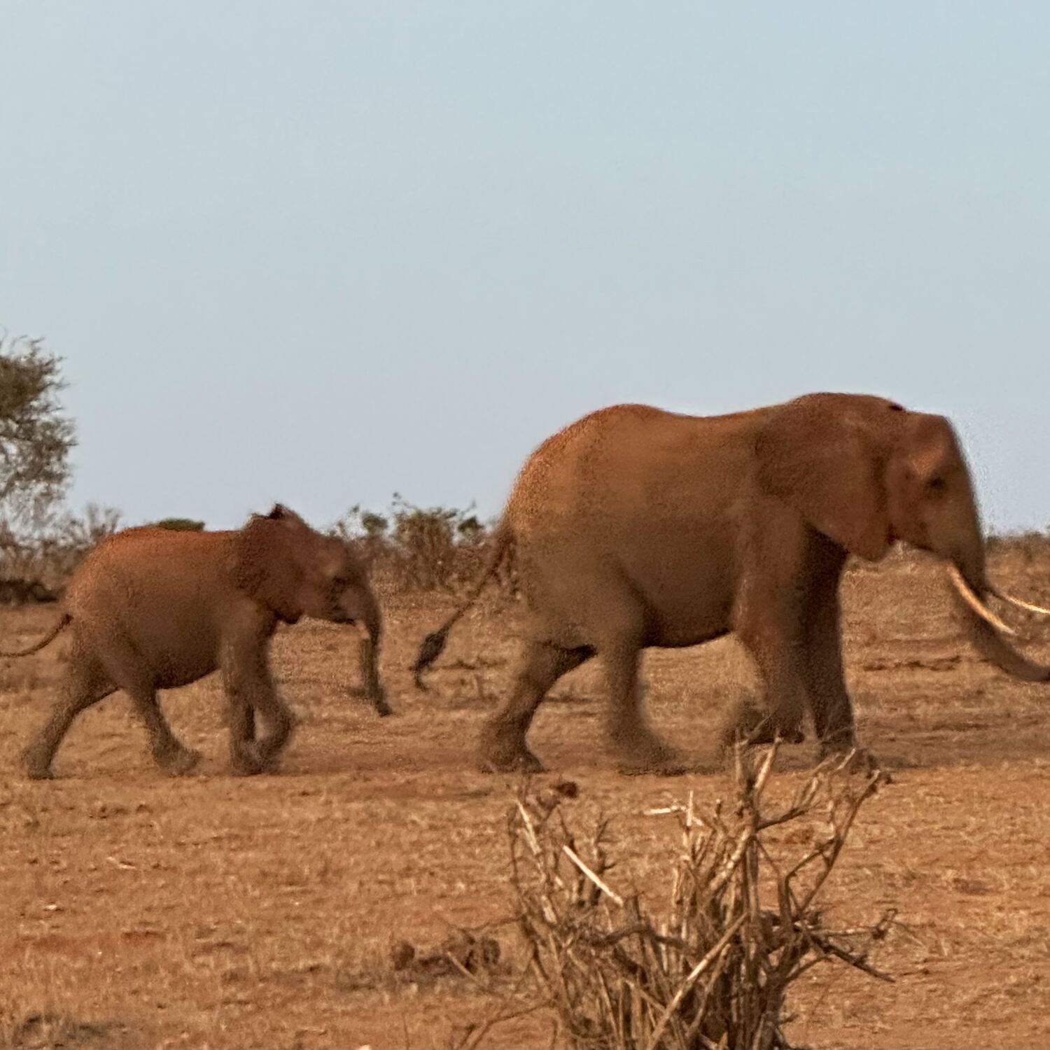 Kenya