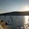 sailing_on_Sunshine