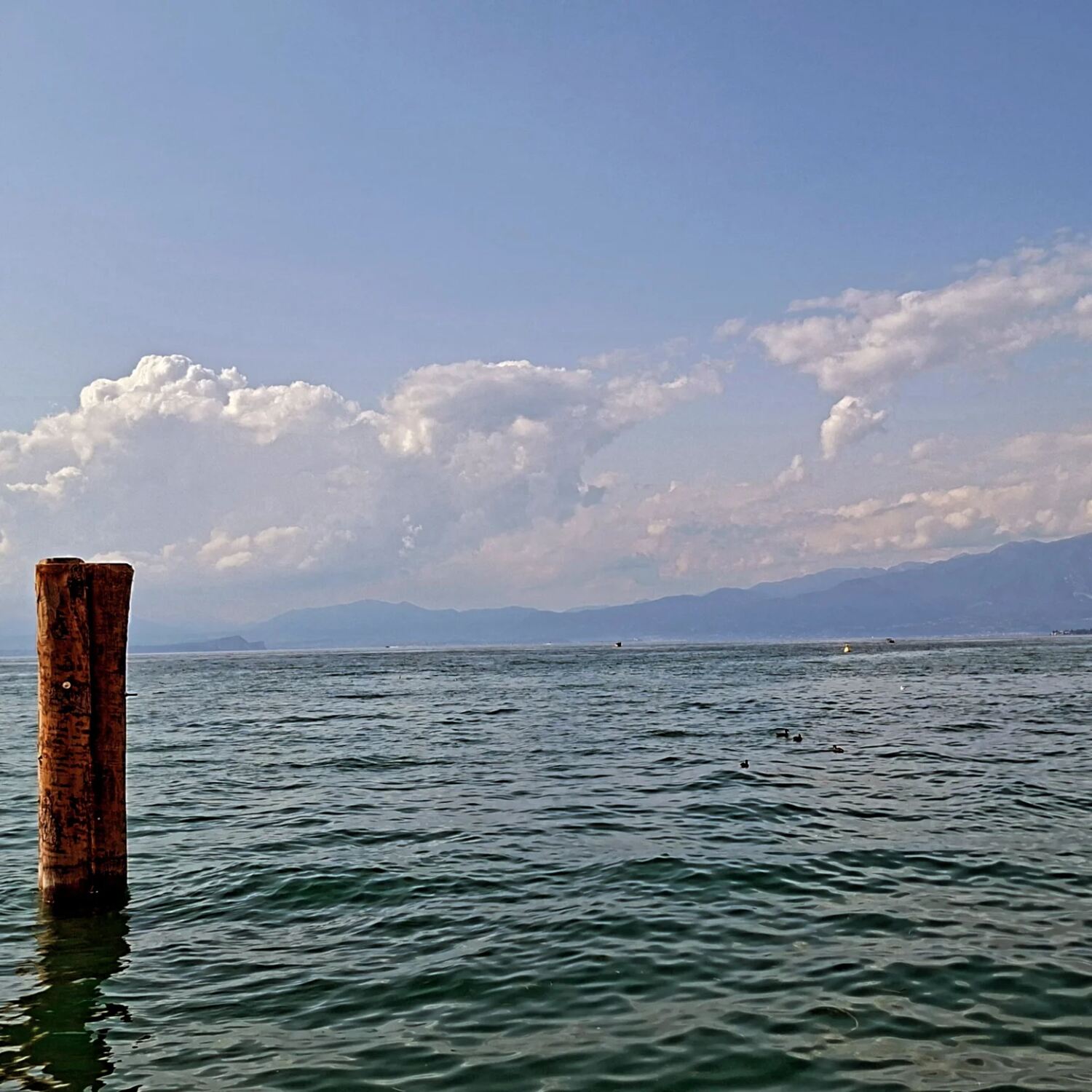 Gardasee 2025