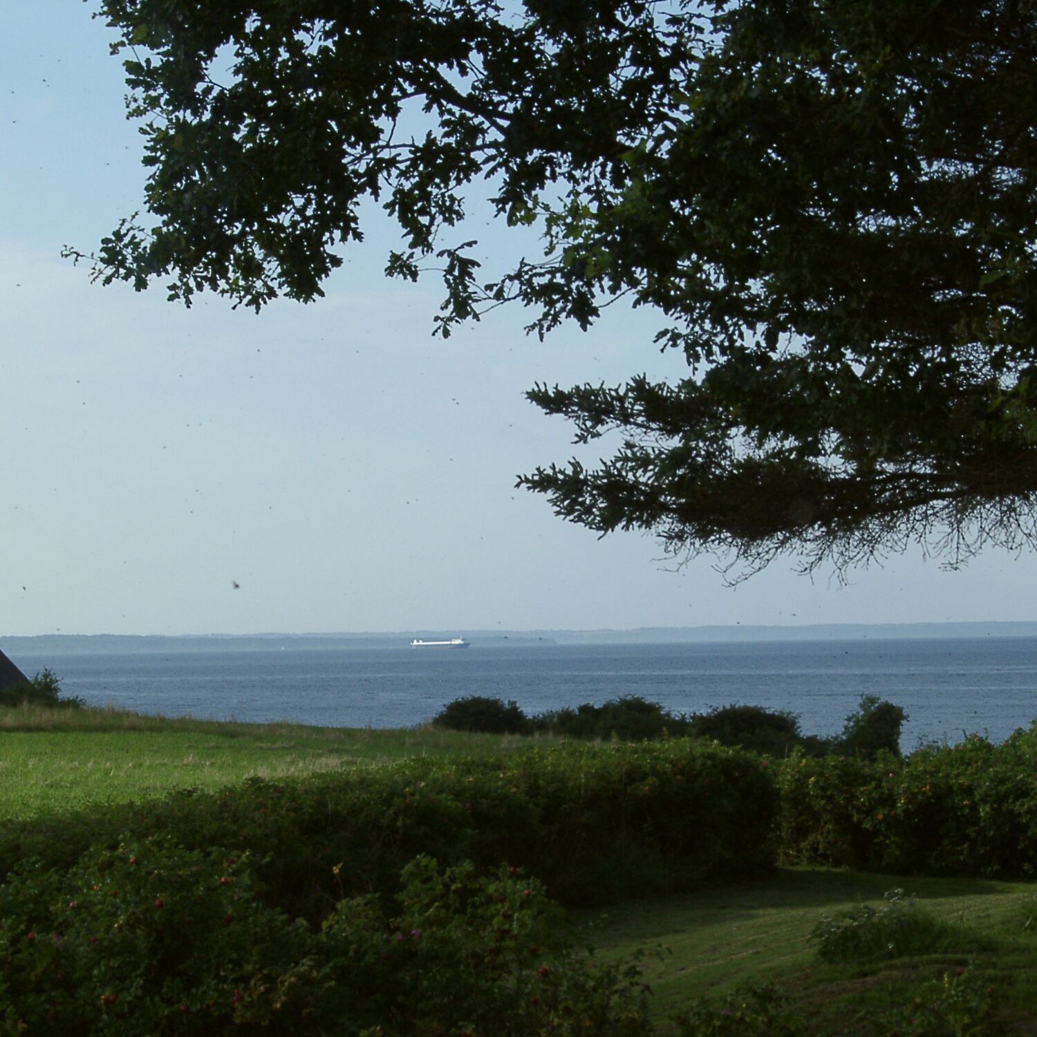 Dänemark 2009