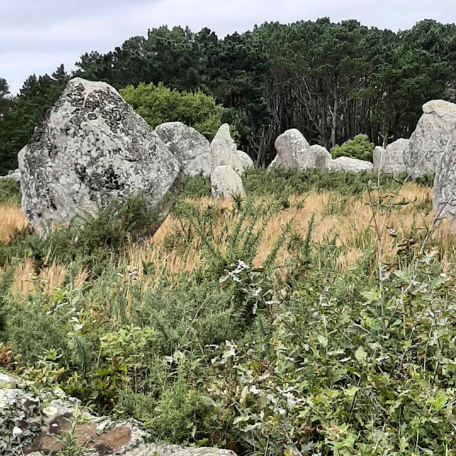 Bretagne