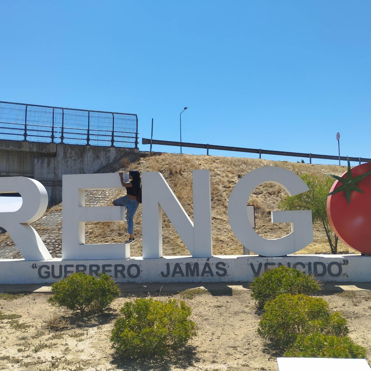 Fiesta del Tomate
