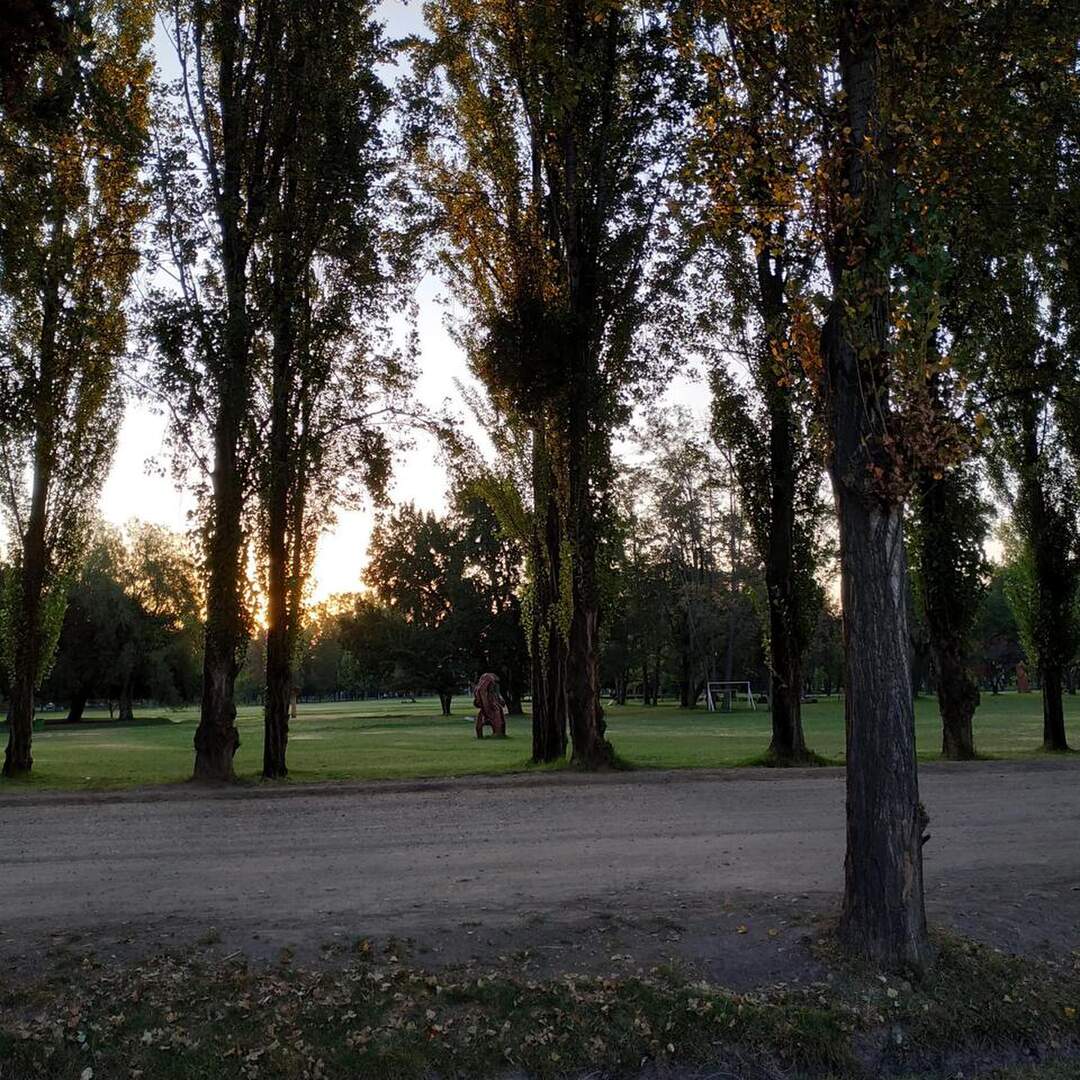 Verano urbano