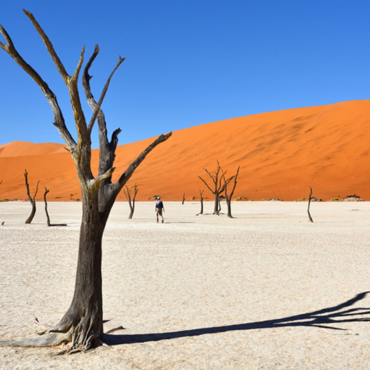 Namibia