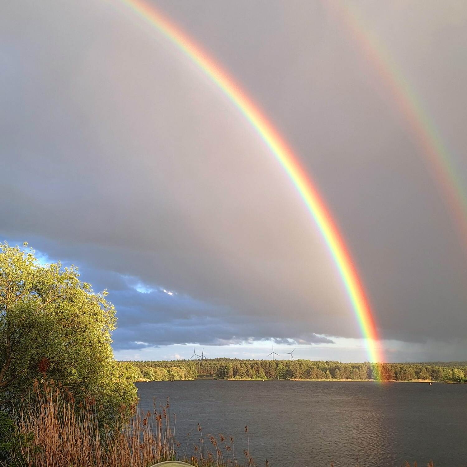 D (MD) - SLO - D (LU)