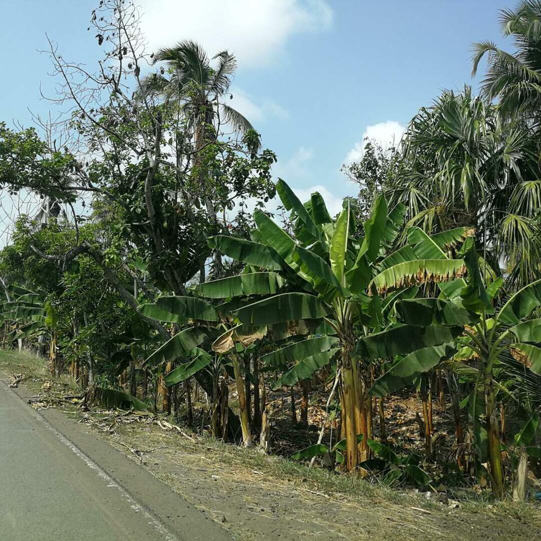 Colombia tierra querida