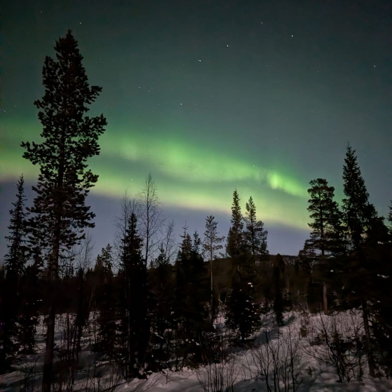 WINTER in KIRUNA