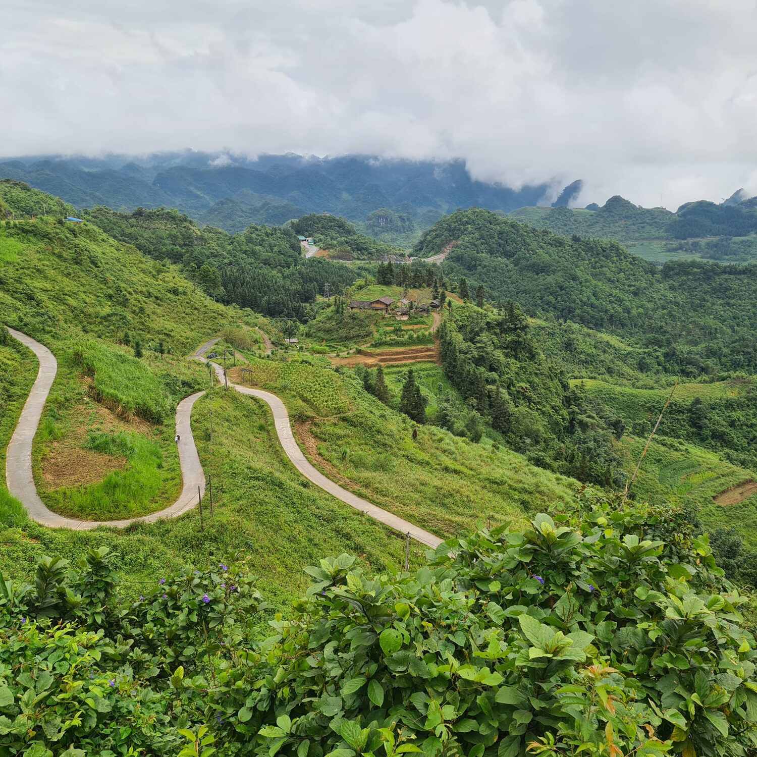 Vietnam