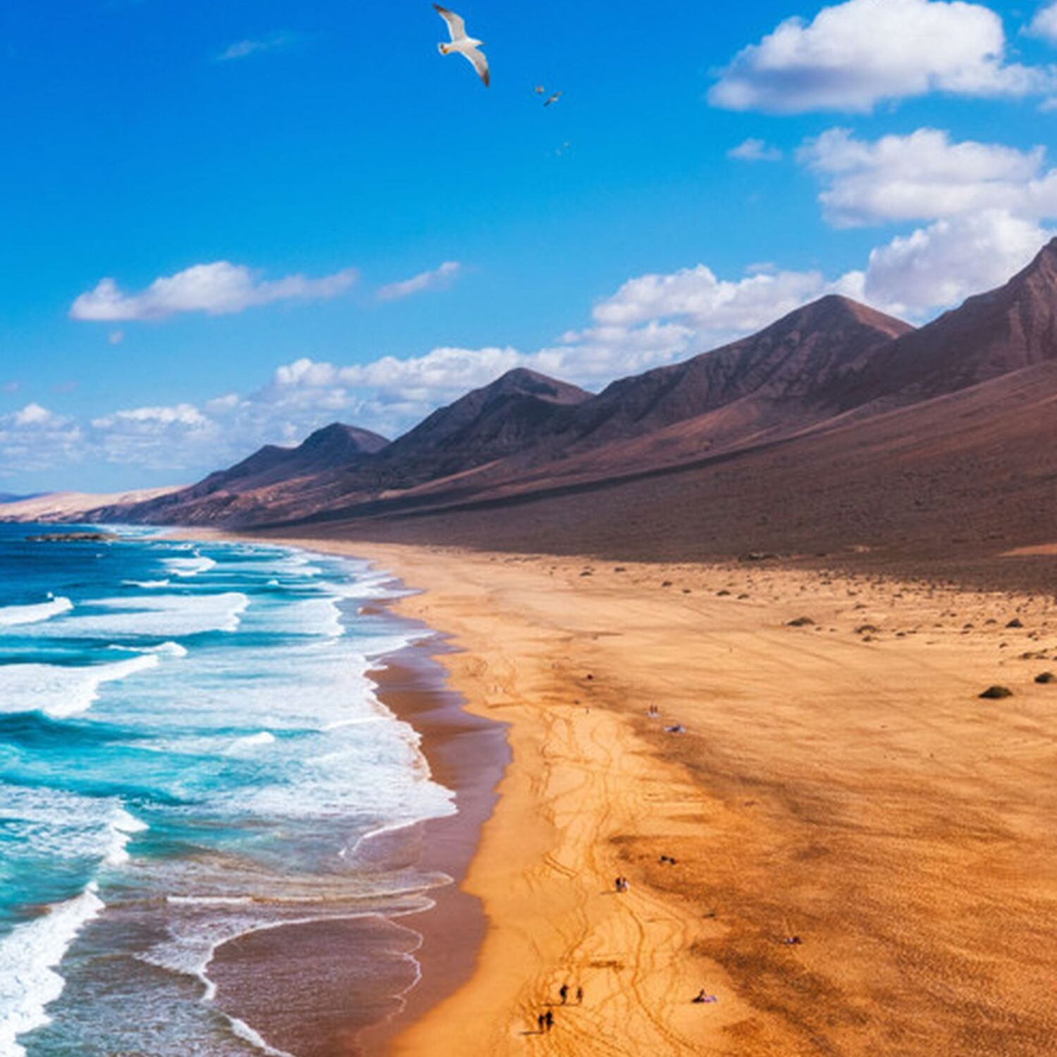 Fuerteventura der 2te Versuch